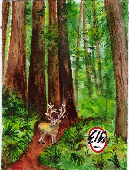 card0004